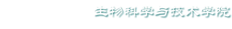 十大滚球体育app